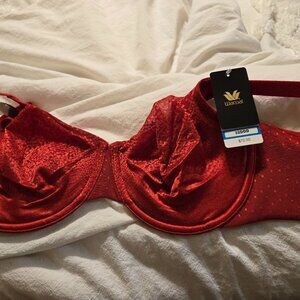 Wacoal Bra 32DDD